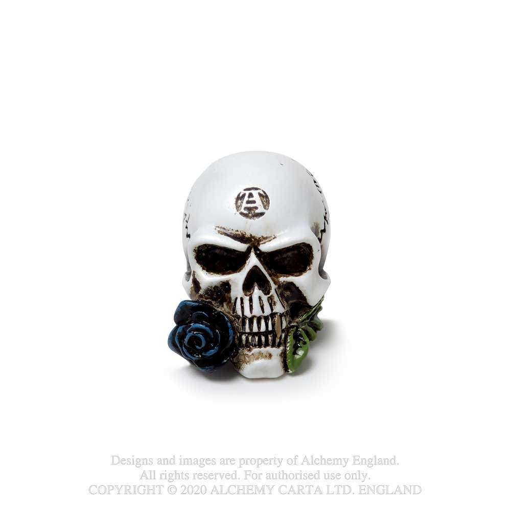 Alchemy - Alchemist Skull Dekorative Figur - Creme
